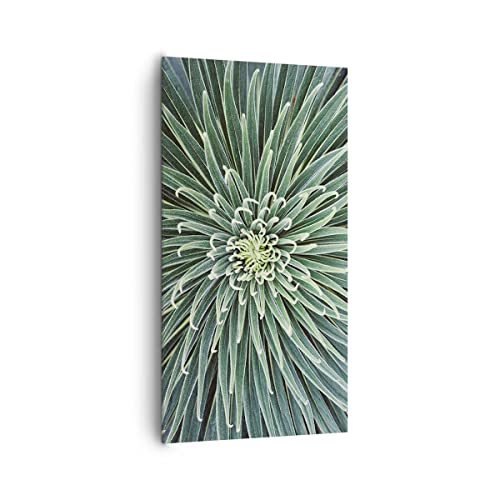 Wandbilder Dekoration Wohnzimmer Agave Grün Pflanze Bilder auf Leinwand 65x120cm Leinwandbild mit Rahmen Schlafzimmer Küche Deko Wand Kunstdruck Art Wanddeko Bild Wall Decor Canvas PA65x120-4905 von ARTTOR