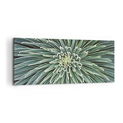 Wandbilder Dekoration Wohnzimmer Agave Grün Pflanze Panorama Bilder auf Leinwand 120x50cm Leinwandbild Schlafzimmer Küche Wand Kunstdruck Art Groß Wanddeko Bild Wall Decor Canvas AB120x50-4905 von ARTTOR