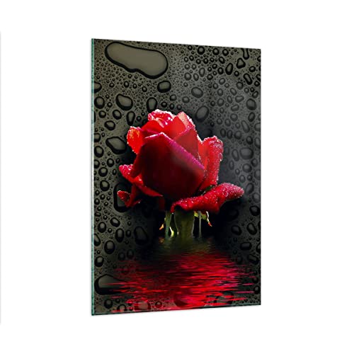 Wandbilder Dekoration Wohnzimmer Blume rote rose wasser tau Bilder auf Glas 80x120cm Glasbild Schlafzimmer Küche Deko Wand Kunstdruck Art Groß XXL Wanddeko Bild im Glas Modern Wall GPA80x120-2367 von ARTTOR