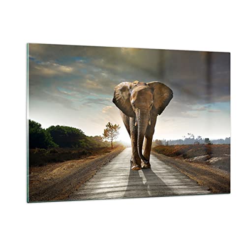 Wandbilder Dekoration Wohnzimmer Elefant Straße Landschaft Bilder auf Glas 120x80cm Glasbild Schlafzimmer Küche Deko Wand Kunstdruck Art Groß XXL Wanddeko Bild im Glas Modern Wall Decor GAA120x80-0214 Wandbilder Dekoration Wohnzimmer Elefant Straße Landschaft Bilder auf Glas 120x80cm Glasbild Schlafzimmer Küche Deko Wand Kunstdruck Art Groß XXL Wanddeko Bild im Glas Modern Wall Decor GAA120x80-0214 von ARTTOR