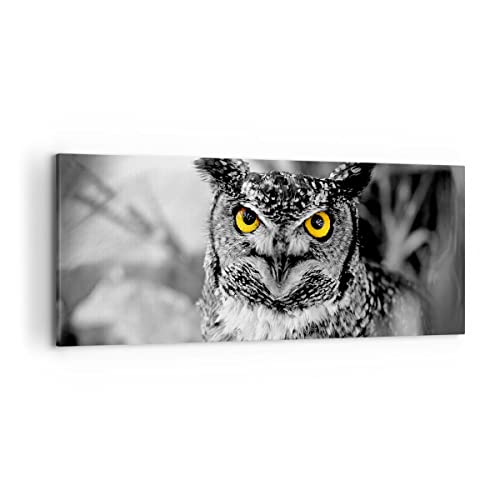 Wandbilder Dekoration Wohnzimmer Eule Vogel Natur Panorama Bilder auf Leinwand 120x50cm Leinwandbild Schlafzimmer Küche Wand Kunstdruck Art Groß Wanddeko Bild Wall Decor Canvas AB120x50-1318 Wandbilder Dekoration Wohnzimmer Eule Vogel Natur Panorama Bilder auf Leinwand 120x50cm Leinwandbild Schlafzimmer Küche Wand Kunstdruck Art Groß Wanddeko Bild Wall Decor Canvas AB120x50-1318 von ARTTOR