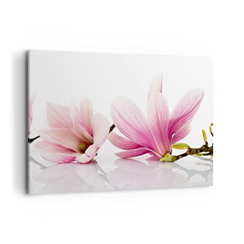 Wandbilder Dekoration Wohnzimmer Magnolie blume natur pflanze Bilder auf Leinwand 120x80cm Leinwandbild Schlafzimmer Deko Wand Kunstdruck Art Groß XXL Wanddeko Bild Wall Decor Canvas AA120x80-2641 Wandbilder Dekoration Wohnzimmer Magnolie blume natur pflanze Bilder auf Leinwand 120x80cm Leinwandbild Schlafzimmer Deko Wand Kunstdruck Art Groß XXL Wanddeko Bild Wall Decor Canvas AA120x80-2641 von ARTTOR
