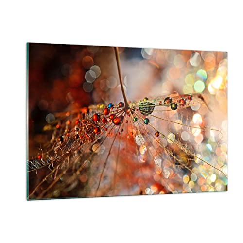 Wandbilder Dekoration Wohnzimmer Spinnennetz modern Bilder auf Glas 120x80cm Glasbild Schlafzimmer Küche Deko Wand Kunstdruck Art Groß XXL Wanddeko Bild im Glas Modern Wall Decor GAA120x80-3774 von ARTTOR