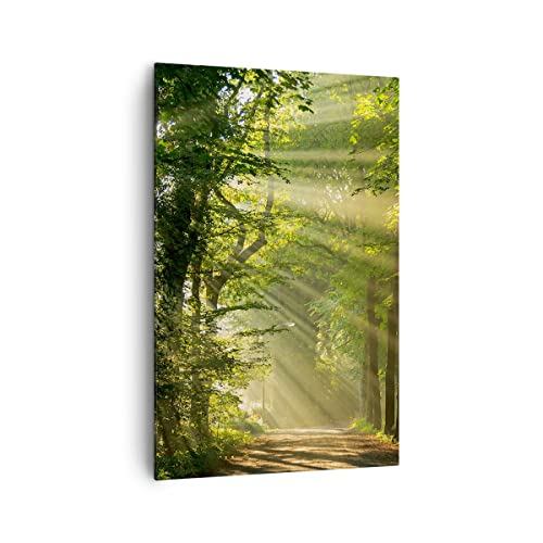 Wandbilder Dekoration Wohnzimmer Wald Baum Natur Bilder auf Leinwand 80x120cm Leinwandbild mit Rahmen Schlafzimmer Küche Deko Wand Kunstdruck Art Groß XXL Wanddeko Bild Wall Decor Canvas PA80x120-3661 von ARTTOR