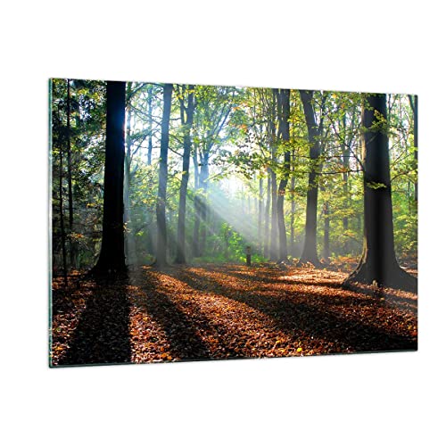 Wandbilder Dekoration Wohnzimmer Wald Blätter Sonne Bilder auf Glas 120x80cm Glasbild Schlafzimmer Küche Deko Wand Kunstdruck Art Groß XXL Wanddeko Bild im Glas Modern Wall Decor GAA120x80-0136 von ARTTOR