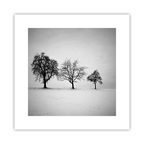 Wandposter Art Prints 30x30cm Poster ohne Rahmen Winter Bäume Schnee Küche Wanddeko Bild Wand Kunstdruck Deko Wandbilder Dekoration Wohnzimmer Schlafzimmer Modern Wall Art Decor P2XAC30x30-4958 von ARTTOR