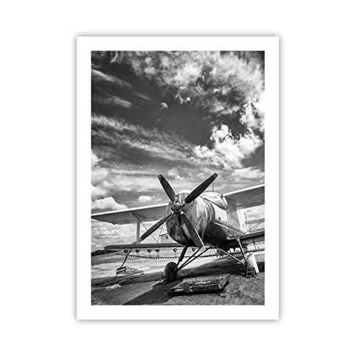 Wandposter Art Prints 50x70cm Poster ohne Rahmen An-2 Flugzeug Schwarzweiß Küche Wanddeko Bild Wand Kunstdruck Deko Wandbilder Dekoration Wohnzimmer Schlafzimmer Modern Wall Art Decor P2XPA50x70-4228 von ARTTOR