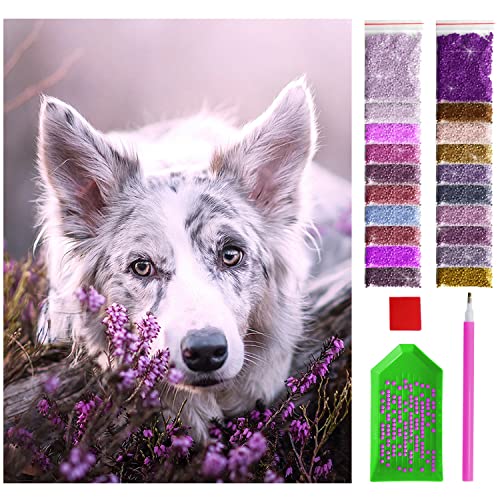 ARTULIO Diamond Painting Set - Hundefoto in Lila - 30x40 cm – 5D Diamant Painting Bilder, Diamond Painting Erwachsene ARTULIO Diamond Painting Set - Hundefoto in Lila - 30x40 cm – 5D Diamant Painting Bilder, Diamond Painting Erwachsene von ARTULIO