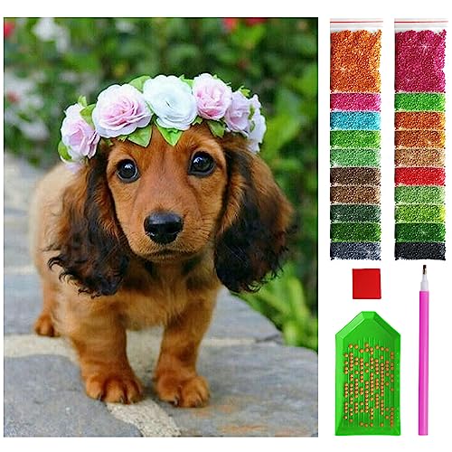 ARTULIO Diamond Painting Set Hund in einem Kranz – 5D Diamant Painting Bilder Kinder 30x40 cm mit Diamond Painting Zubehör für Kinder und Erwachsene - Crystal Art von ARTULIO