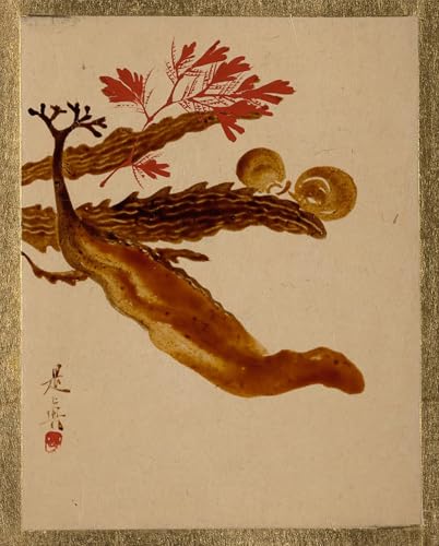 ARTXLXXBN Bekannt Gemälde Fotodruck Malerei Poster Algen von Shibata Zeshin Modem-Grafik für Wohnzimmerdekoration 60x90cm von ARTXLXXBN