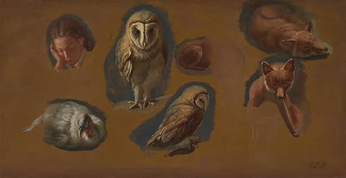 ARTXLXXBN Bekannt Gemälde Fotodruck Malerei Poster Studien eines Tieres einer Schleiereule einer Pfauhenne von Jacques Laurent Agasse Modem-Grafik für Wohnzimmerdekoration 60x90cm von ARTXLXXBN