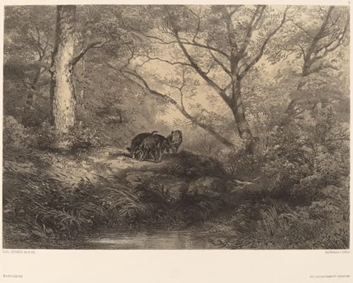 ARTXLXXBN Bekannt Gemälde Fotodruck Malerei Poster Wildschweine von Karl Bodmer Modem-Grafik für Wohnzimmerdekoration 60x90cm von ARTXLXXBN