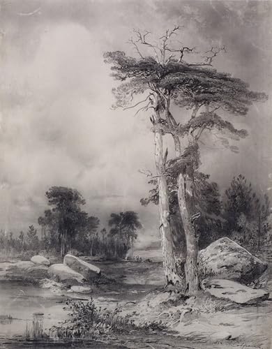 ARToPHIIU Berühmte Gemälde Abstrakte Leinwand Kunst Vintage Wandbild Kiefern von aleksey Savrasov Leinwand Wandbilder für Schlafzimmer Home Decor 60x90cm ARToPHIIU Berühmte Gemälde Abstrakte Leinwand Kunst Vintage Wandbild Kiefern von aleksey Savrasov Leinwand Wandbilder für Schlafzimmer Home Decor 60x90cm von ARToPHIIU
