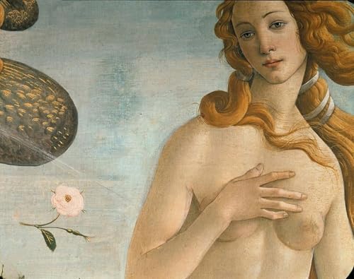 ARToPHIIU Kunstdruck Leinwand Leinwand Wand Kunst Malerei Wandkunst Die Geburt der Venus von Sandro Botticelli Grafti Leinwanddruck für Wanddekoration 60x90cm ARToPHIIU Kunstdruck Leinwand Leinwand Wand Kunst Malerei Wandkunst Die Geburt der Venus von Sandro Botticelli Grafti Leinwanddruck für Wanddekoration 60x90cm von ARToPHIIU