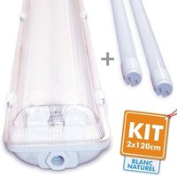 Arum Lighting - Kit 2 Röhren führte 120cm 4000K + wasserdichtes Gehäuse von ARUM LIGHTING