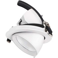 Arum Lighting - Pro Snail cob 30W verstellbarer LED-Einbaustrahler Température de Couleur: Blanc neutre 4000K von ARUM LIGHTING