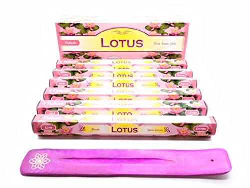 Räucherstäbchen Lotusblüte (Lotus) Stäbe Joss 120 Stäbchen Räucherstäbchen Duft hausgemachter Joss Sticks mit Aschenbecher von DetonTsai