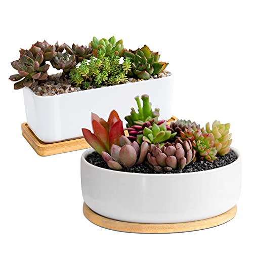 Weiße Keramik Sukkulenten Blumentöpfe, ARVINKEY 1 rechteckiger Blumentopf + 1 runder Übertopf, 2er Set kleine Kaktusbehälter, Bonsai-Töpfe, Blumentöpfe mit Abflusslöchern Bambus-Tablett (ohne Pflanze) von ARVINKEY