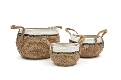 ARZOM - Seegras Korb Set – Aufbewahrungskorb mit Henkeln – Vielseitiger Flechtkorb als Wäschekorb, Blumentopf & Ablagekorb – Körbe geflochten aus robustem Seegras im Boho Stil – 3teilig von ARZOM