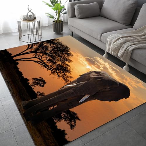 ARiXIaNg Elefant Teppich Kinderteppich Modern 3D Afrika Tiere Teppich Schlafzimmer rutschfeste FußMatte Kinder Teenager Kurzflor Teppiche FüR Flur Wohnzimmer Boden Teppich 180x240 cm ARiXIaNg Elefant Teppich Kinderteppich Modern 3D Afrika Tiere Teppich Schlafzimmer rutschfeste FußMatte Kinder Teenager Kurzflor Teppiche FüR Flur Wohnzimmer Boden Teppich 180x240 cm von ARiXIaNg