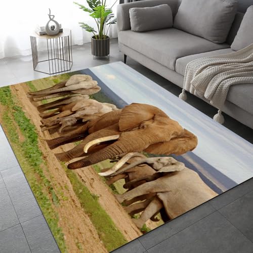 Teppich Wohnzimmer Schlafzimmer Elefant Teppich Kinderzimmer Kurzflor Teppiche rutschfeste Spielteppiche Afrika Tiere Teenager Kinderteppich Dekoration Carpets 100x150 cm von ARiXIaNg