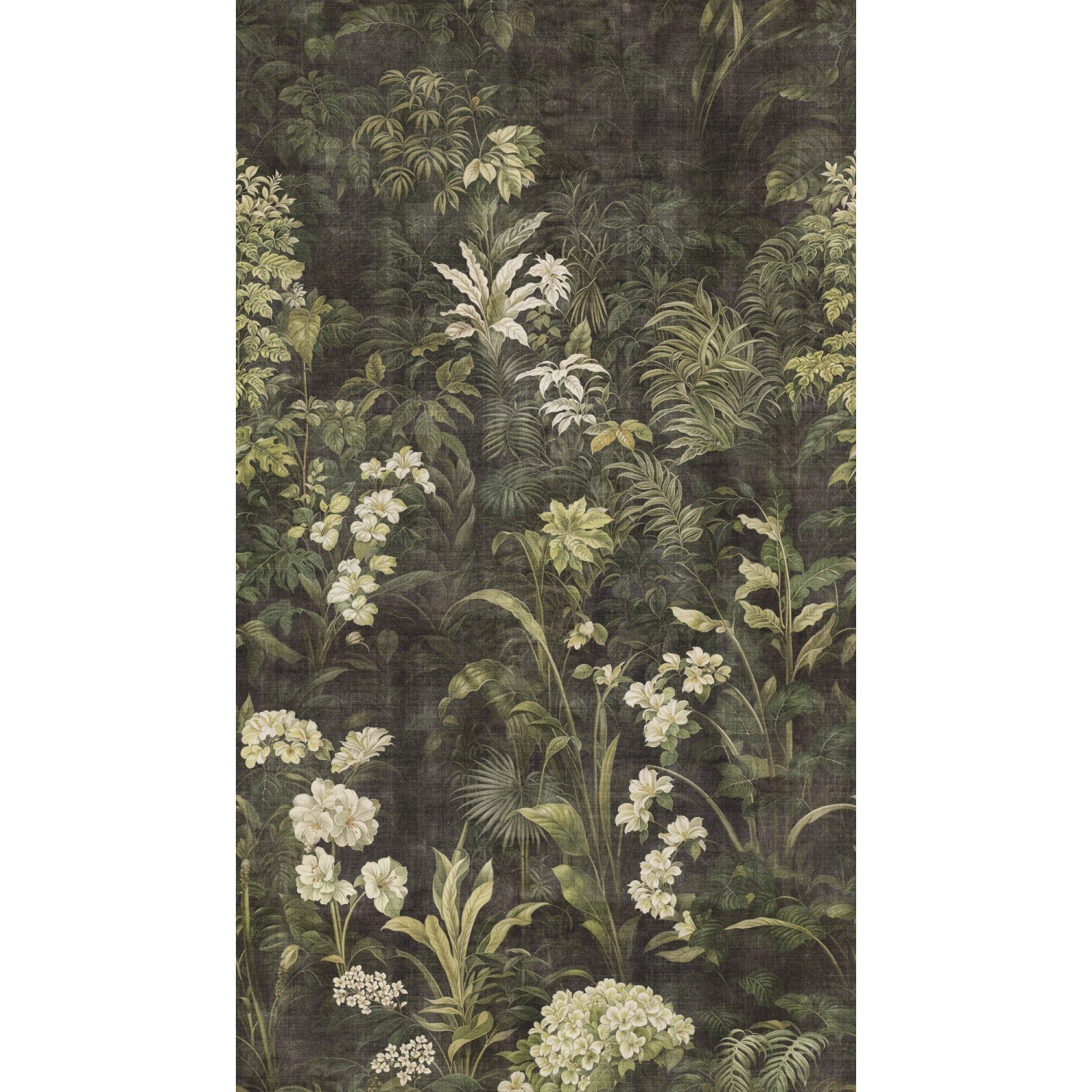 A.S. Creation Fototapete Natur Floral 1,59 m x 2,8 m Creme-Grün FSC® von AS-Creation