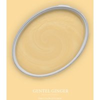 A.S. Création - Wandfarbe Gelb "Gentle Ginger" 5L von AS Creation