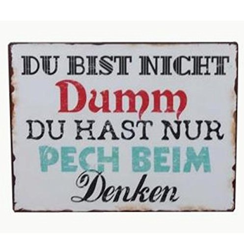 AS4HOME Blechschild Vintage Du bist Nicht dumm Du hast nur Pech beim Denken Wandschschild Metall für den Innenbereich von AS4HOME