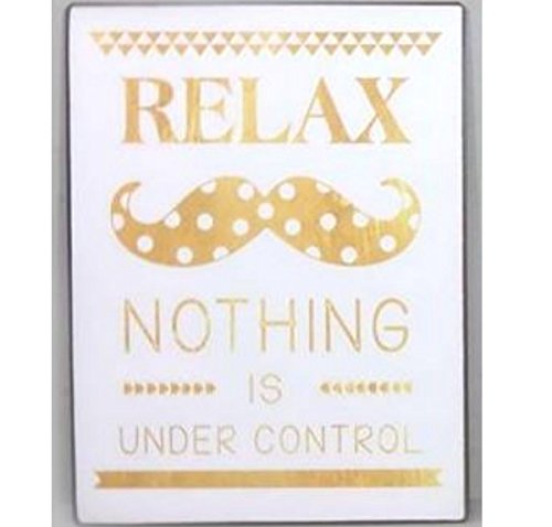 AS4HOME Blechschild Vintage - Relax! Nothing is Under Control! Schild im Antik Look - Metallschild Wandschschild Metall für den Innenbereich - Nostalgieschild von AS4HOME