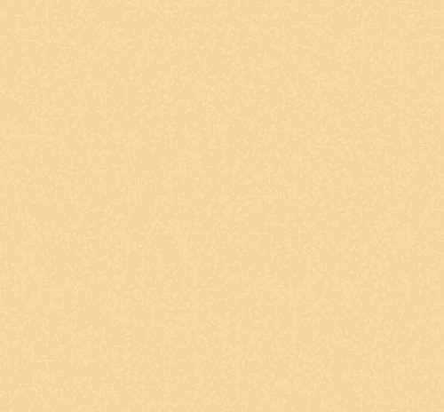 Klebefolie - Möbelfolie Beige glänzend - 45 cm x 200 cm Designfolie Selbstklebende Folie von AS4HOME