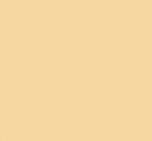 Klebefolie - Möbelfolie Beige glänzend - 45 cm x 200 cm Designfolie Selbstklebende Folie von AS4HOME