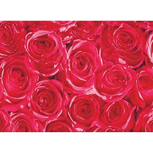 Klebefolie Möbelfolie rote Rosen 45 cm x 200 cm Blumen - Bastelfolie Selbstklebefolie von AS4HOME