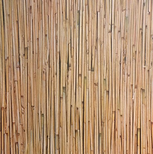 AS4HOME- Aufkleber für Möbel, 90 cm x 200 cm, Bambus von AS4HOME