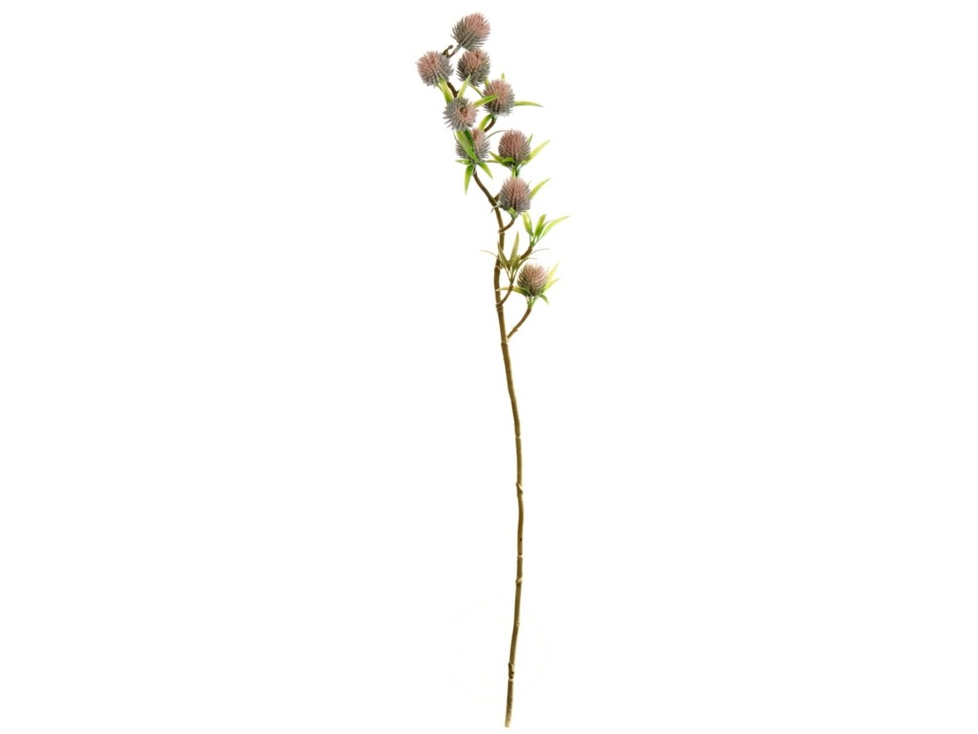 Kunstpflanze Dekozweig Fruchtzweig grün 72 cm, ASA SELECTION, Höhe 0 cm von ASA SELECTION