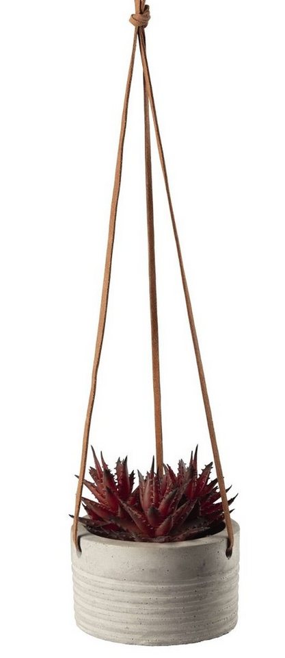 Kunstpflanze Maxi Hängesukkulente I im grauen Betont.rot 10,5cm, ASA SELECTION, Höhe 100 cm Kunstpflanze Maxi Hängesukkulente I im grauen Betont.rot 10,5cm, ASA SELECTION, Höhe 100 cm von ASA SELECTION