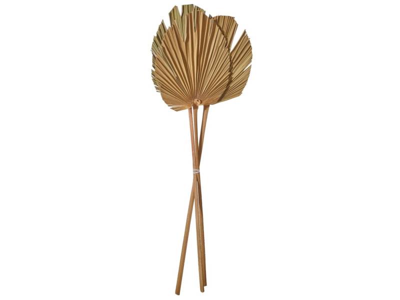 Kunstpflanze Palmspeer natur 60-70 cm, ASA SELECTION, Höhe 20 cm, Wohnaccessoires von ASA SELECTION