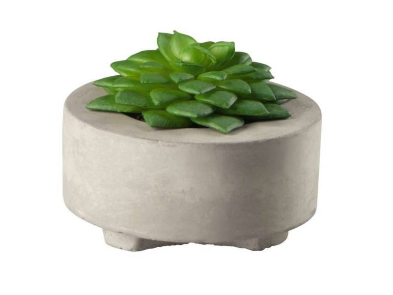 Kunstpflanze Sukkulente II im grauen Betontopf grün D. 8,5 cm, ASA SELECTION, Höhe 110 cm, Wohnaccessoires von ASA SELECTION