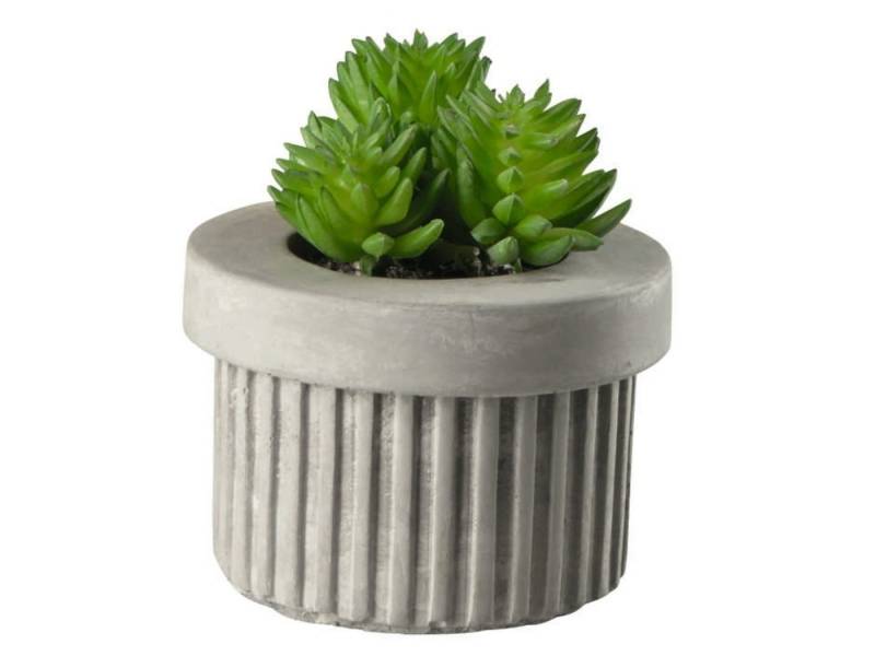 Kunstpflanze Sukkulente III im grauen Betontopf grün 7 cm, ASA SELECTION, Höhe 65 cm von ASA SELECTION