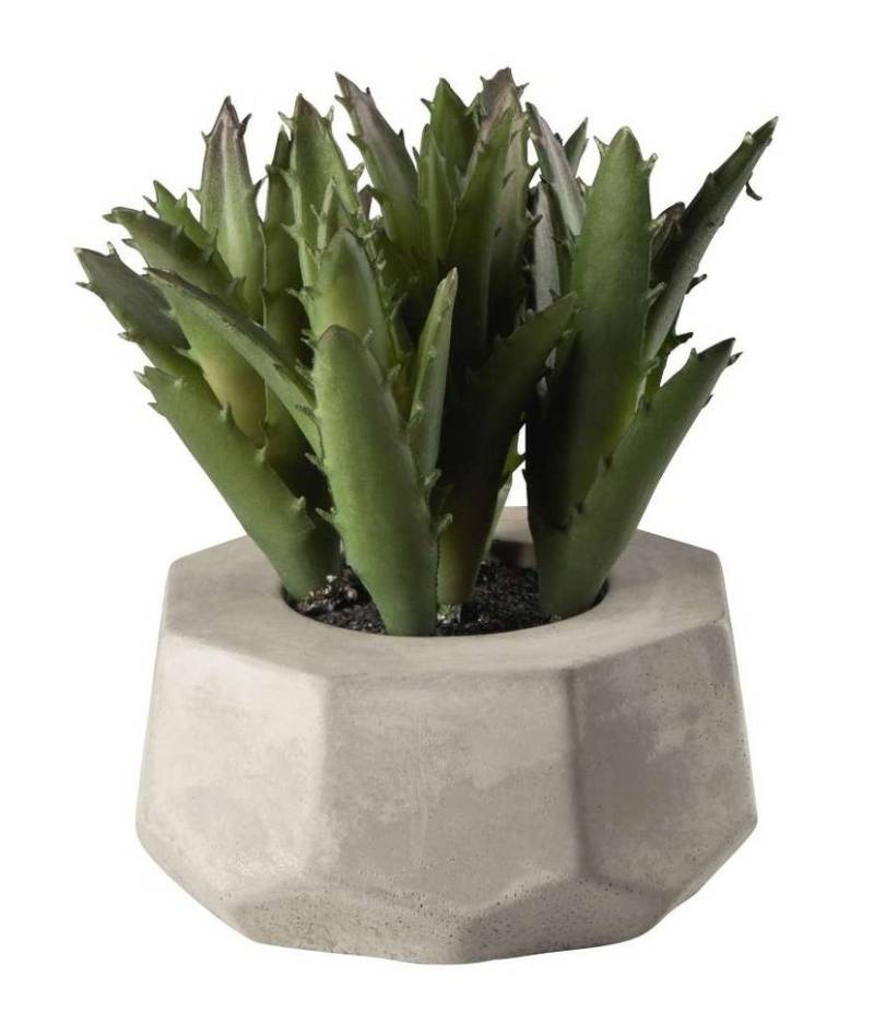 Kunstpflanze Sukkulente IV im grauen Betontopf grün 8 cm, ASA SELECTION von ASA SELECTION