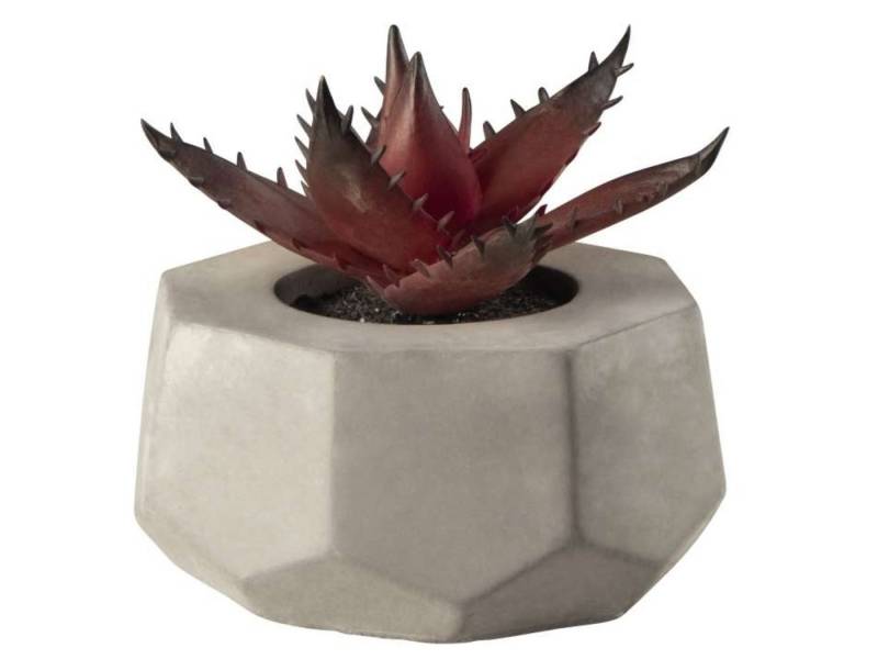 Kunstpflanze Sukkulente VII im grauen Betontopf rot 8 cm, ASA SELECTION von ASA SELECTION