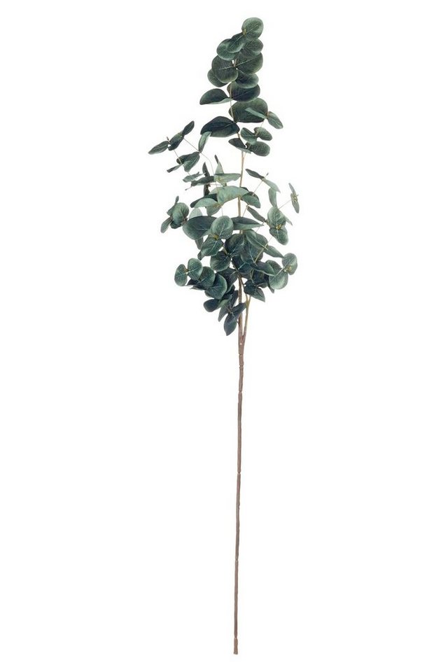 Kunstpflanze EVRIN, Grün, Pflegeleicht, Naturgetreu, Eukalyptuszweig, ASA SELECTION, Höhe 88 cm von ASA SELECTION