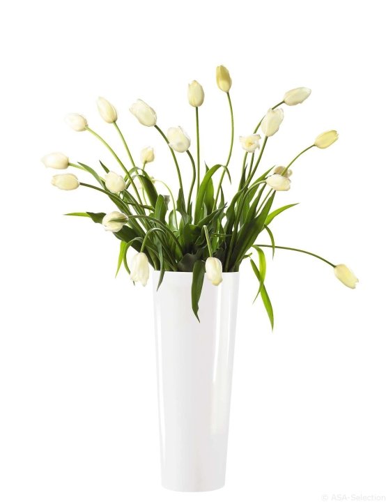 ASA Selection Vase Mono in Farbe weiß glänzend von ASA Selection