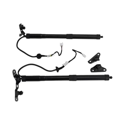 ASADF Gasdruckdämpfer 6891009010 689200901 für Toyota Für RAV4 2.5L 2013-2018 Teil Power Heckklappe Stamm Lift Unterstützung Elektrische Heckklappe Strut Elektrische Heckklappenstrebe(Left and Right) von ASADF