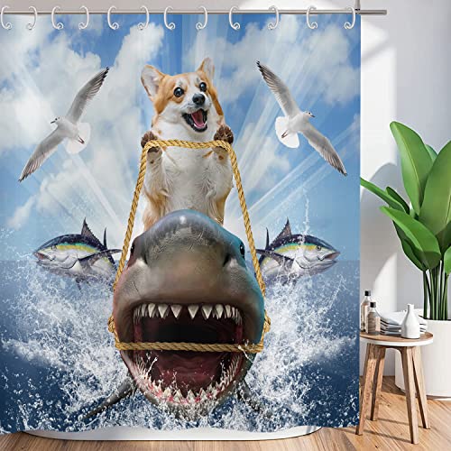 ASDCXZ Duschvorhang Lustig 180x180 cm, Lustig Hund Fahrt Hai Ozean Abenteuer Waschbar Textil Badezimmer Vorhänge Polyester Stoff Wasserdicht Duschvorhänge für Badewanne mit 12 Duschvorhang Hake ASDCXZ Duschvorhang Lustig 180x180 cm, Lustig Hund Fahrt Hai Ozean Abenteuer Waschbar Textil Badezimmer Vorhänge Polyester Stoff Wasserdicht Duschvorhänge für Badewanne mit 12 Duschvorhang Hake von ASDCXZ