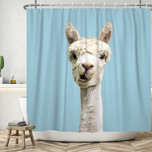 ASDCXZ Duschvorhang Lustig 180x200 cm, Einfachheit Lustig Alpaka Gesicht Türkis Waschbar Textil Badezimmer Vorhänge Polyester Stoff Wasserdicht Duschvorhänge für Badewanne mit 12 Duschvorhang Hake von ASDCXZ
