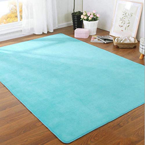 ASDQW rutschfeste Badematte,60X160Cm Blau Coral Plüsch Soft Shaggy Carpet Fast Dry Chenille Bad Teppiche Geeignet Für Toilette Nachttisch Eingang Wohnzimmer Tür von ASDQW
