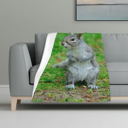 ASEELO 122 x 81 cm Decke Eichhörnchen Fleece Decke Sofa Überwurf für Bett und Couch Reisen von ASEELO