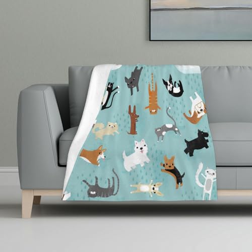 ASEELO Fleecedecke, 122 x 81 cm, Motiv: Regenkatzen und Hunde, Sofaüberwurf für Bett und Couch, Reisen von ASEELO