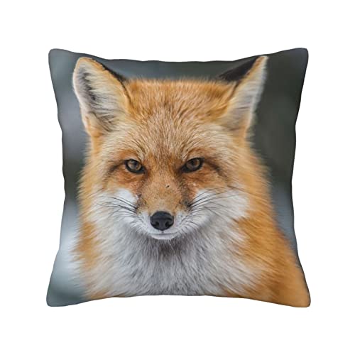 ASEELO Fuchs-Kissen, 45,7 x 45,7 cm, für Wohnzimmer, Schlafzimmer, Sofa, Couch, Outdoor-Kissenbezüge von ASEELO