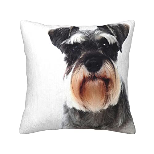 ASEELO Gut verhaltene Schnauzer-Kissenbezüge, Kissenbezüge mit unsichtbarem Reißverschluss, für Sofa, Bett, Garten, Auto, 30/40/45/50 cm von ASEELO